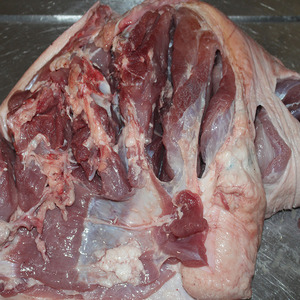 安徽大别山农家散养土黑猪新鲜土黑猪前腿肉35斤整只带脚