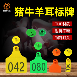 母猪耳标号牌带字