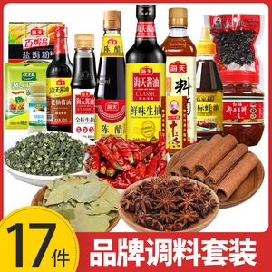 调料大全 做菜调料17件厨房家用炒菜调味料佐料海天酱油香料组合