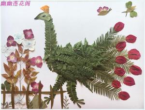 漂亮孔雀手工制作植物标本画干花材料diy教学作业装饰品摆件儿童