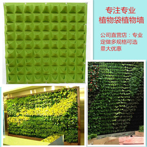 毛毡植物种植袋垂直立体绿化墙壁挂式花盆阳台种菜神器绿萝装饰架