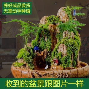 装饰品原石景观假山盆景山石人物造型阳台客厅假石山上水山水鱼.