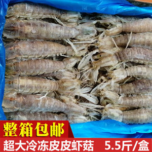 海派冷冻虾姑鲜活超大5.5斤 生皮皮虾海鲜广东免邮生冻皮皮虾冻虾