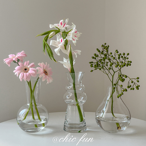 窄口花瓶玻璃透明迷你鲜花插花葫芦小口径摆件法式欧式网红ins矮
