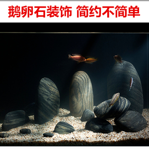 天然超大水族鹅卵石头晒台三湖慈鲷鱼缸底砂围边造景彩绘庭院装饰