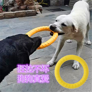 狗狗训练玩具球互动拉环飞盘边牧金毛马犬飞环带逗狗绳球宠物用品