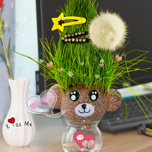 【七彩盆栽】七彩盆栽品牌,价格 - 阿里巴巴