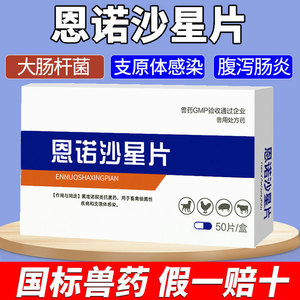 恩诺沙星片宠物用 猫咪狗狗金毛泰迪肠炎腹泻拉稀支原体感染兽药