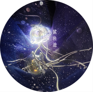 sharkpond丨 硝子水母i丨潜入深海!透明空气感耳环丨仿生笔记