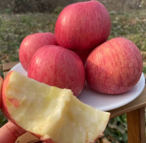 【生鲜司令】洛川苹果 中果 75-80mm 3斤/4.5-5斤/8.5-9斤