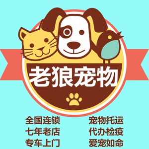 广州宠物托运