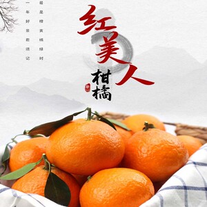 象山红美人柑橘桔