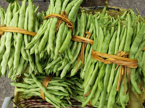 【新鲜无筋豆】新鲜无筋豆品牌,价格 - 阿里巴巴