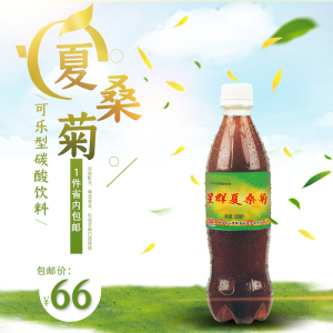 星群夏桑菊可乐型碳酸汽水植物饮料广东凉茶500ml*12整箱清爽解腻