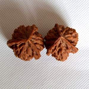 文玩核桃异形鹰嘴三棱