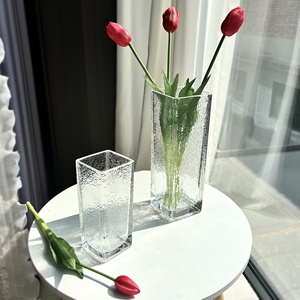 轻奢方形加厚高级感玻璃花瓶透明水养插花创意简约客厅装饰品摆件