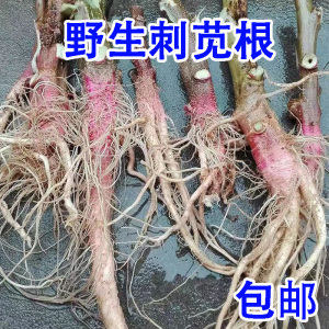 新鲜包邮野生刺苋根带刺红菜头红刺苋刺苋菜苋菜猪母菜勒苋菜