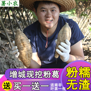 粉葛葛根新鲜 黄葛广东煲汤无渣生葛根水晶粉葛苗农家现挖5斤包邮