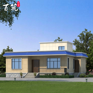 平房设计图纸农村平顶