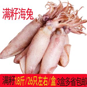 海兔子连云港