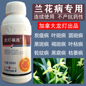 进口龙灯兰花专用杀菌剂炭疽病叶斑病圆斑病黑斑病褐斑叶枯病农药