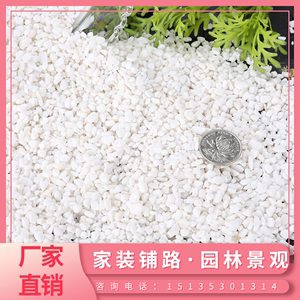 杭州40斤装白色石子石头大鹅卵石庭院铺路铺地小白石头水小白石子