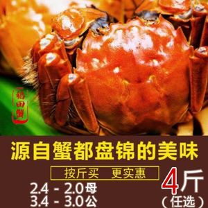 【净重4斤】盘锦河蟹鲜活大闸蟹特大2两母3两公稻田活螃蟹4斤