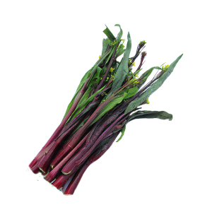 红菜苔湖北新鲜