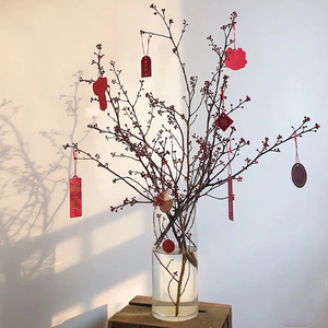 年宵花灯台花枝木本新鲜花材云南直发室内桌面客厅装饰插花水养