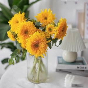 泰迪向日葵鲜花云南直发室内水培向阳花绿植花束插花鲜切花太阳花