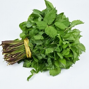 远东春生鲜 新鲜蔬菜 东北大叶芹 山芹菜 京津冀满68包邮顺丰