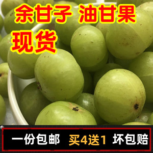 现摘新鲜油甘子500g潮汕青油柑果余甘牛甘果滇橄榄酸水果榨汁油甘