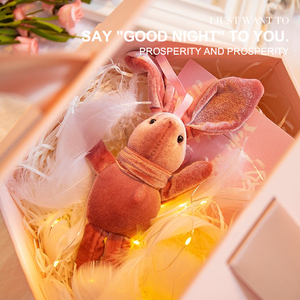 生日礼物许愿兔