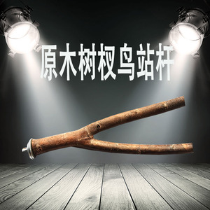 八哥鸟站架木