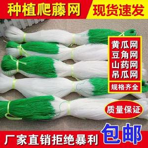 苗丝瓜冬瓜南瓜西瓜甜瓜搅瓜西葫芦瓠瓜苦瓜砍瓜黄瓜青瓜16人付款18