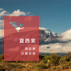 乔克咖啡埃塞俄比亚耶加雪菲日晒西达摩古伎精品咖啡豆可磨粉227g
