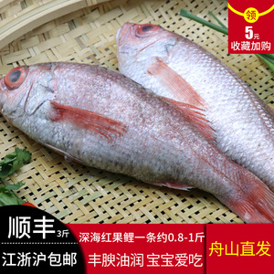 东海新鲜红果鲤鲜活赤鯥鱼冷冻红黑喉鱼肉鱼深海鱼1斤约一条