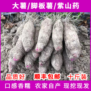 紫山药新鲜10斤江西脚板薯种子红心大毛薯蔬菜紫玉淮山面整箱现挖