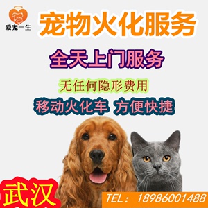 武汉宠物火化动物殡葬猫猫狗狗兔子鹦鹉火葬善终移动火化车可上门