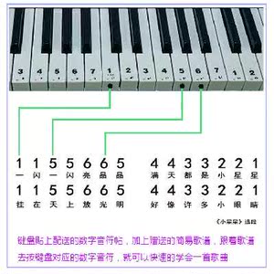 成人电子琴简谱