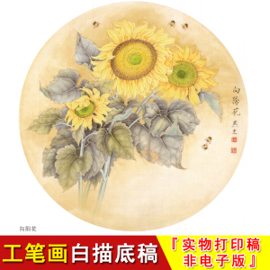 工笔画白描底稿圆形花鸟向日葵国画斗方小品梁燕生临摹线条稿a401
