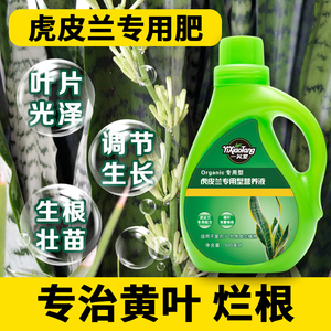 虎皮兰肥料营养液专用肥植物花肥室内盆栽客厅金边水培白玉土大型