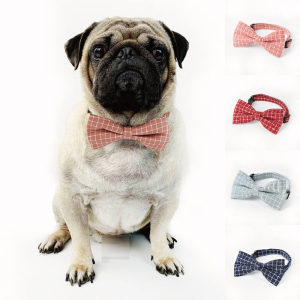 狗狗铃铛项圈泰迪宠物领带领结蝴蝶结猫咪小狗狗铃铛项链饰品挂饰