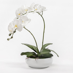 现代中式客厅兰花盆景茶几电视柜花卉装饰品售楼处样板间花艺摆件