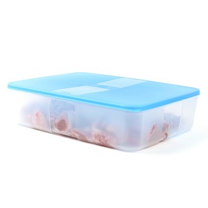 特百惠3.3l冷冻保鲜盒大容量长方形冰箱储藏盒水果蔬菜鱼肉收纳盒