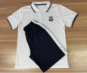 东莞市黄江镇华南师范大学初中校服华附初中海德实验校服夏季春秋