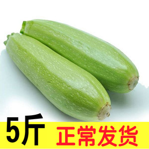 新鲜西葫芦5斤 农家自种山东孕妇辅食下奶青菜蔬菜茭瓜包邮