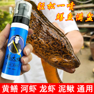 鳝大娃黄鳝诱食剂添加剂小药河虾龙虾泥鳅黑鱼鲶鱼腥臭味喷雾型