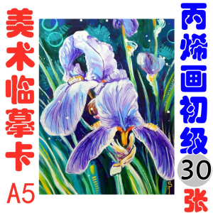 c6-新款美术临摹卡片画室用-水粉丙烯画经典初级30张a5尺寸中小学