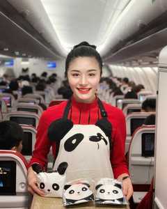全新四川航空最新款空姐制服围裙川航可爱熊猫空乘围裙